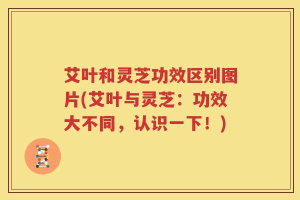 艾叶和灵芝功效区别图片(艾叶与灵芝：功效大不同，认识一下！)