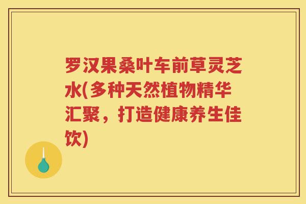 罗汉果桑叶车前草灵芝水(多种天然植物精华汇聚，打造健康养生佳饮)