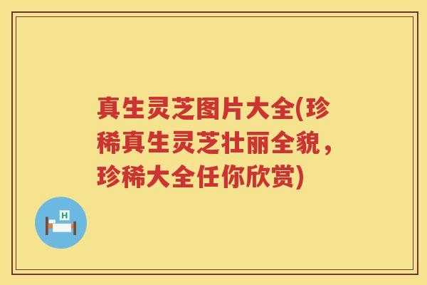 真生灵芝图片大全(珍稀真生灵芝壮丽全貌，珍稀大全任你欣赏)
