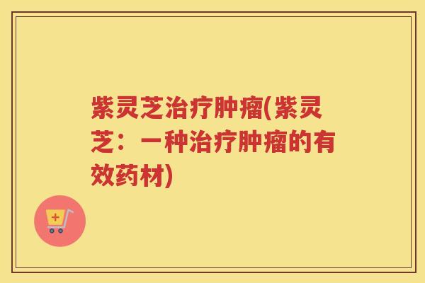 紫灵芝(紫灵芝:一种的有效药材) 紫灵芝(紫灵芝:一种的有效药材)