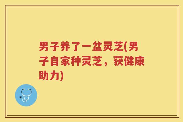 男子养了一盆灵芝(男子自家种灵芝，获健康助力)