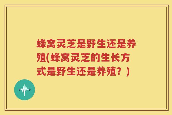 蜂窝灵芝是野生还是养殖(蜂窝灵芝的生长方式是野生还是养殖?)