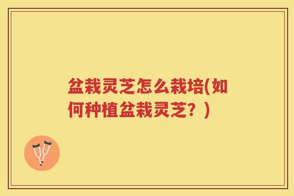盆栽灵芝怎么栽培(如何种植盆栽灵芝？)