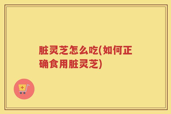 脏灵芝怎么吃(如何正确食用脏灵芝)