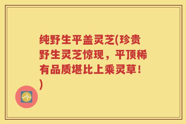 纯野生平盖灵芝(珍贵野生灵芝惊现，平顶稀有品质堪比上乘灵草！)