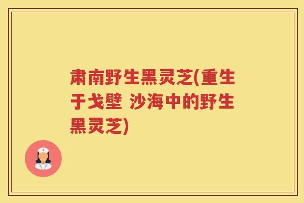 肃南野生黑灵芝(重生于戈壁 沙海中的野生黑灵芝)