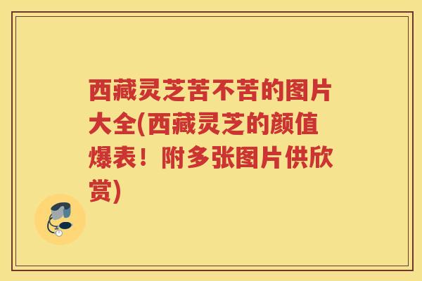 西藏灵芝苦不苦的图片大全(西藏灵芝的颜值爆表！附多张图片供欣赏)