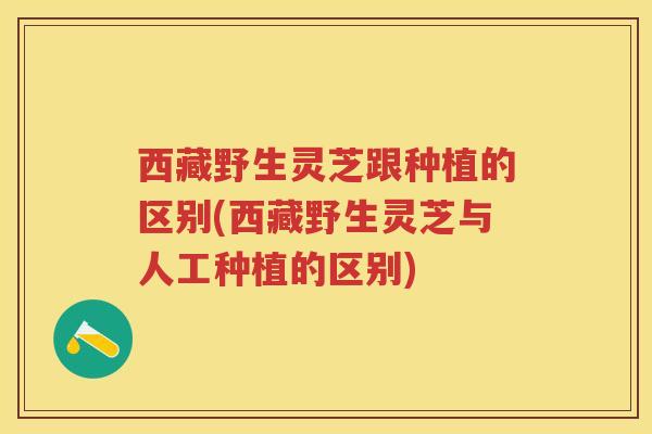 西藏野生灵芝跟种植的区别(西藏野生灵芝与人工种植的区别)