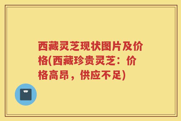 西藏灵芝现状图片及价格(西藏珍贵灵芝：价格高昂，供应不足)