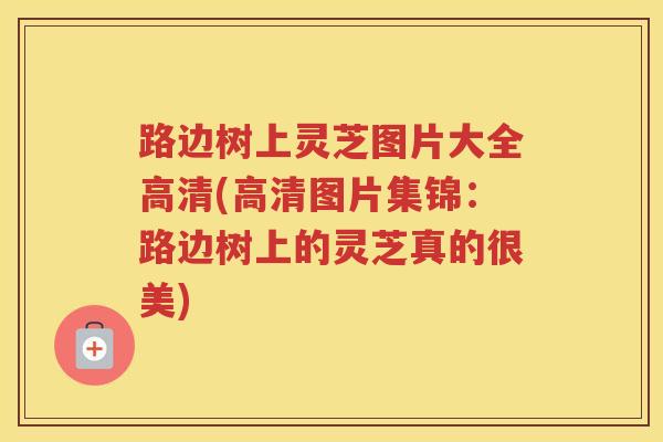 路边树上灵芝图片大全高清(高清图片集锦：路边树上的灵芝真的很美)