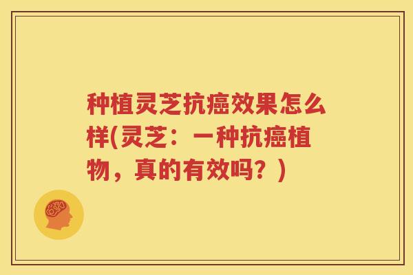 种植灵芝抗效果怎么样(灵芝:一种抗植物,真的有效吗?) 种植灵芝抗效果怎么样(灵芝:一种抗植物,真的有效吗?)
