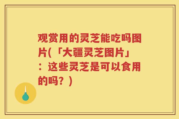 观赏用的灵芝能吃吗图片(「大疆灵芝图片」:这些灵芝是可以食用的吗?) 观赏用的灵芝能吃吗图片(「大疆灵芝图片」:这些灵芝是可以食用的吗?)