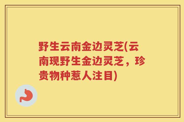 野生云南金边灵芝(云南现野生金边灵芝,珍贵物种惹人注目) 野生云南金边灵芝(云南现野生金边灵芝,珍贵物种惹人注目)