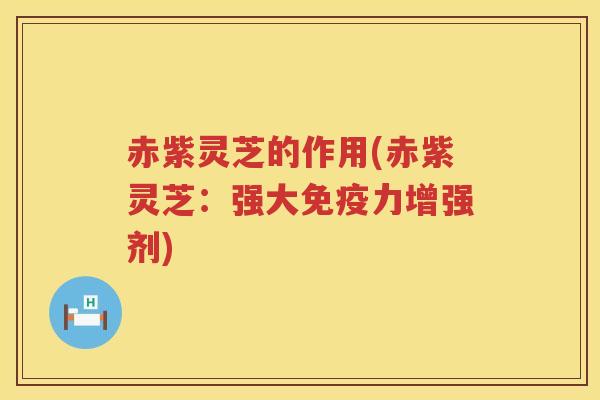赤紫灵芝的作用(赤紫灵芝：强大免疫力增强剂)