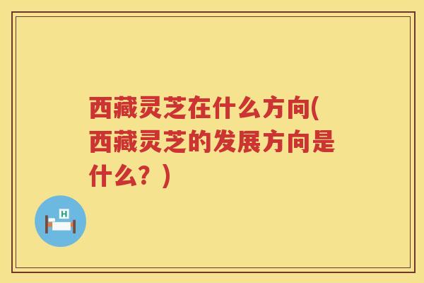 西藏灵芝在什么方向(西藏灵芝的发展方向是什么?) 西藏灵芝在什么方向(西藏灵芝的发展方向是什么?)
