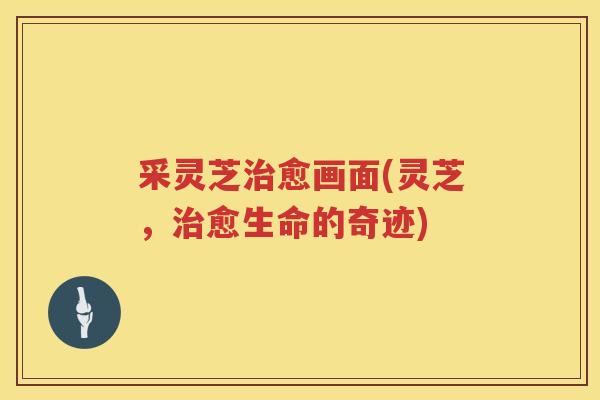 采灵芝愈画面(灵芝，愈生命的奇迹)