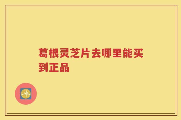 葛根灵芝片去哪里能买到正品 葛根灵芝片去哪里能买到正品