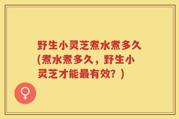 野生小灵芝煮水煮多久(煮水煮多久，野生小灵芝才能有效？)