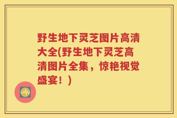 野生地下灵芝图片高清大全(野生地下灵芝高清图片全集，惊艳视觉盛宴！)
