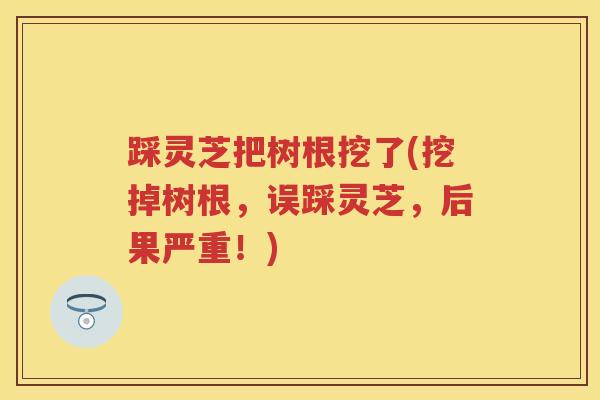 踩灵芝把树根挖了(挖掉树根,误踩灵芝,后果严重!) 踩灵芝把树根挖了(挖掉树根,误踩灵芝,后果严重!)