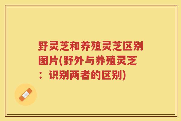 野灵芝和养殖灵芝区别图片(野外与养殖灵芝：识别两者的区别)