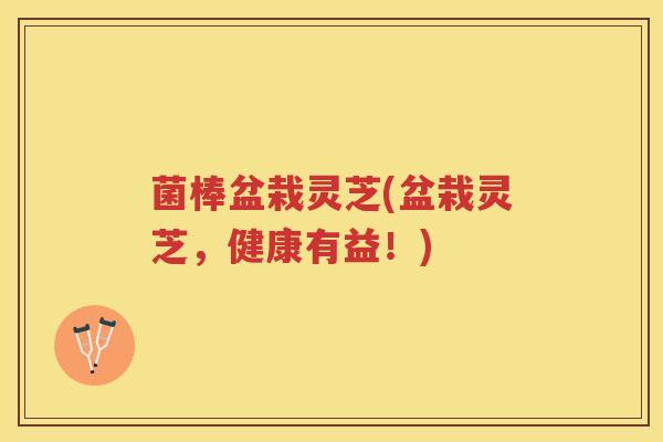 菌棒盆栽灵芝(盆栽灵芝,健康有益!) 菌棒盆栽灵芝(盆栽灵芝,健康有益!)
