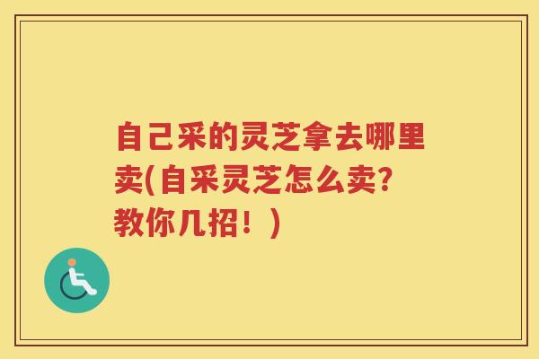 自己采的灵芝拿去哪里卖(自采灵芝怎么卖？教你几招！)