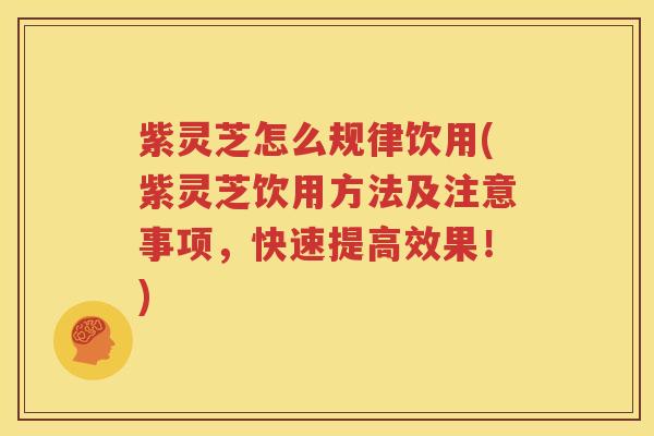 紫灵芝怎么规律饮用(紫灵芝饮用方法及注意事项,快速提高效果!) 紫灵芝怎么规律饮用(紫灵芝饮用方法及注意事项,快速提高效果!)