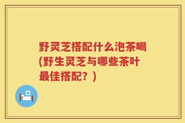 野灵芝搭配什么泡茶喝(野生灵芝与哪些茶叶最佳搭配?)