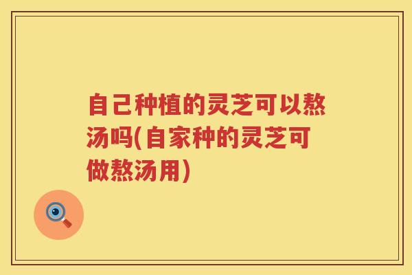 自己种植的灵芝可以熬汤吗(自家种的灵芝可做熬汤用)