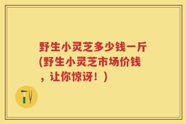 野生小灵芝多少钱一斤(野生小灵芝市场价钱,让你惊讶!) 野生小灵芝多少钱一斤(野生小灵芝市场价钱,让你惊讶!)