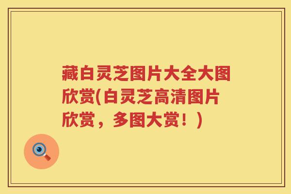 藏白灵芝图片大全大图欣赏(白灵芝高清图片欣赏,多图大赏!) 藏白灵芝图片大全大图欣赏(白灵芝高清图片欣赏,多图大赏!)