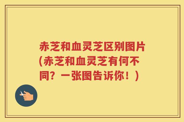 赤芝和血灵芝区别图片(赤芝和血灵芝有何不同?一张图告诉你!)