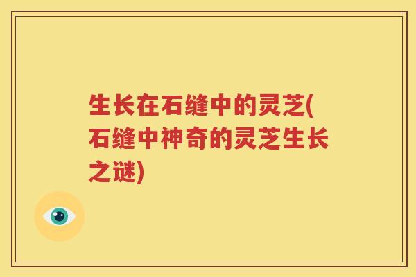 生长在石缝中的灵芝(石缝中神奇的灵芝生长之谜) 生长在石缝中的灵芝(石缝中神奇的灵芝生长之谜)