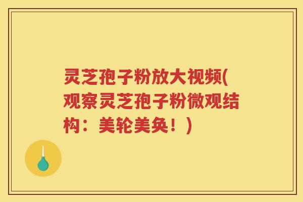 灵芝孢子粉放大视频(观察灵芝孢子粉微观结构：美轮美奂！)