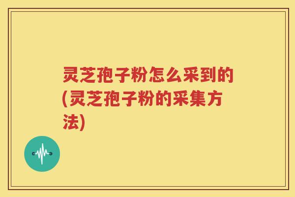 灵芝孢子粉怎么采到的(灵芝孢子粉的采集方法)