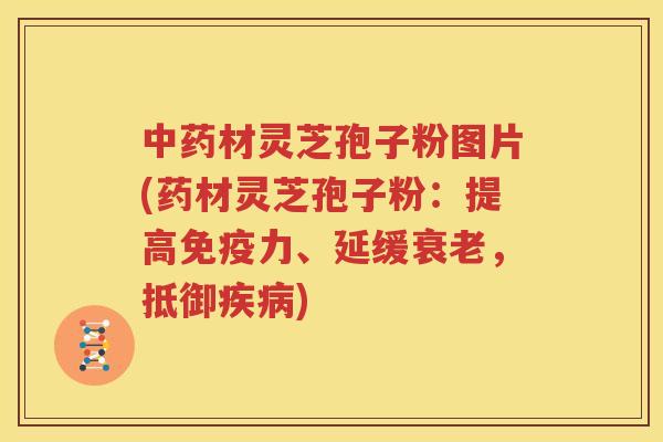 中药材灵芝孢子粉图片(药材灵芝孢子粉：提高免疫力、延缓衰老，抵御疾病)
