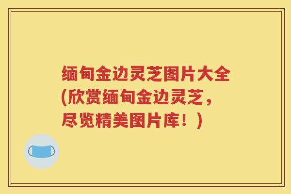 缅甸金边灵芝图片大全(欣赏缅甸金边灵芝，尽览精美图片库！)