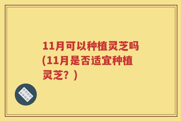 11月可以种植灵芝吗(11月是否适宜种植灵芝?) 11月可以种植灵芝吗(11月是否适宜种植灵芝?)
