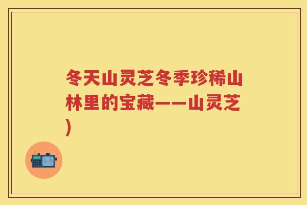 冬天山灵芝冬季珍稀山林里的宝藏——山灵芝)