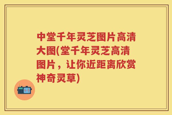 中堂千年灵芝图片高清大图(堂千年灵芝高清图片，让你近距离欣赏神奇灵草)
