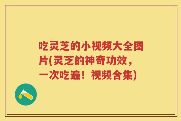 吃灵芝的小视频大全图片(灵芝的神奇功效，一次吃遍！视频合集)