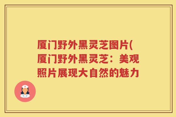 厦门野外黑灵芝图片(厦门野外黑灵芝：美观照片展现大自然的魅力