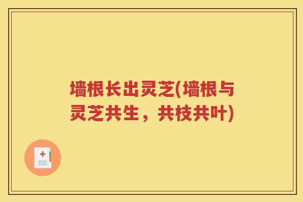 墙根长出灵芝(墙根与灵芝共生，共枝共叶)