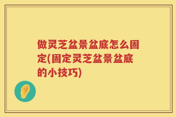 做灵芝盆景盆底怎么固定(固定灵芝盆景盆底的小技巧)