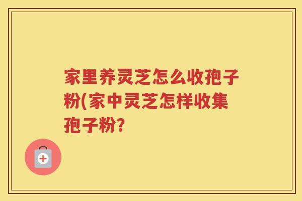 家里养灵芝怎么收孢子粉(家中灵芝怎样收集孢子粉？