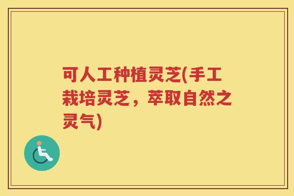 可人工种植灵芝(手工栽培灵芝，萃取自然之灵气)