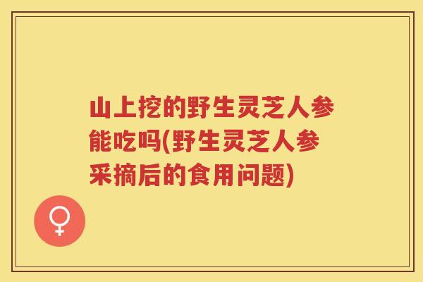 山上挖的野生灵芝人参能吃吗(野生灵芝人参采摘后的食用问题)