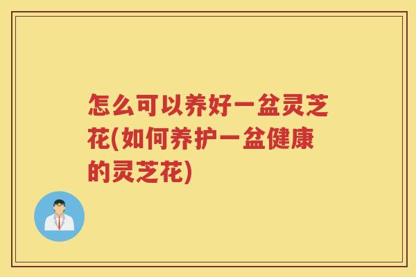 怎么可以养好一盆灵芝花(如何养护一盆健康的灵芝花)