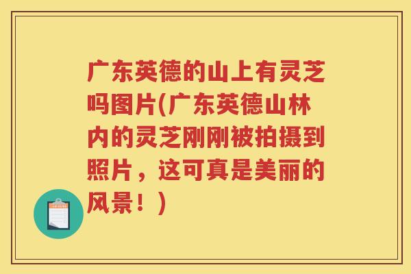 广东英德的山上有灵芝吗图片(广东英德山林内的灵芝刚刚被拍摄到照片，这可真是美丽的风景！)